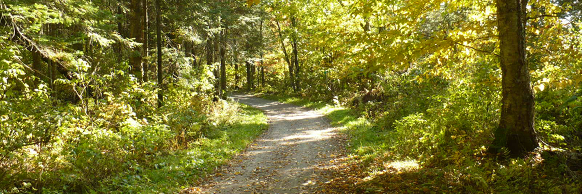 Centre de plein air Dansereau