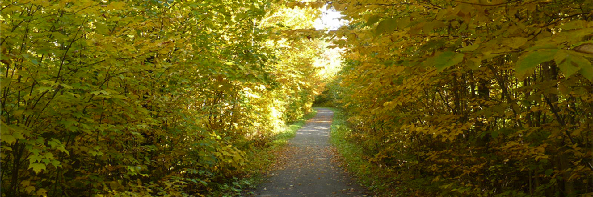 Centre de plein air Dansereau