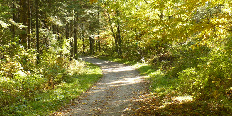 Centre de plein air Dansereau
