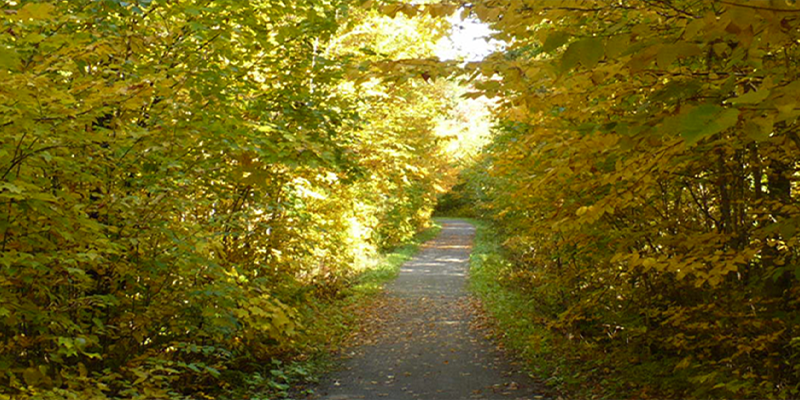 Centre de plein air Dansereau