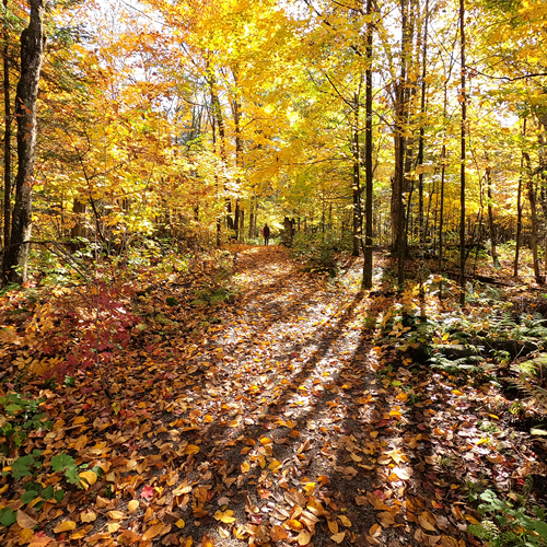 Cliquer ici pour en savoir plus»»»