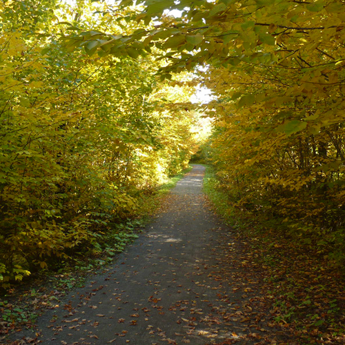 Cliquer ici pour en savoir plus»»»