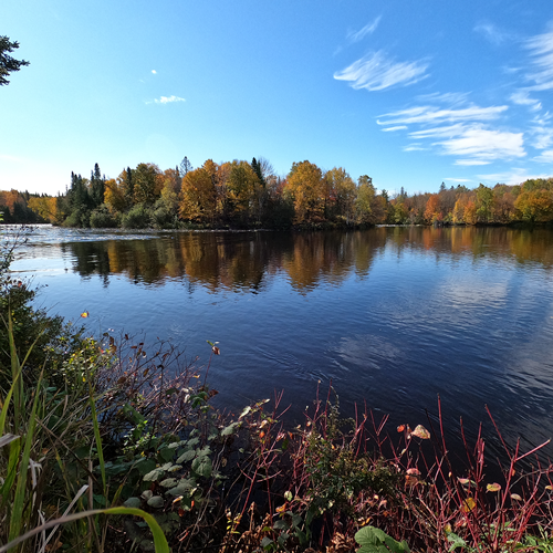 Centre Dansereau de Pont-Rouge