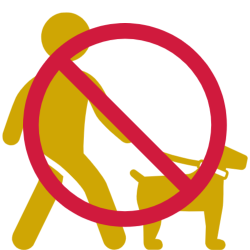 Centre Dansereau de Pont-Rouge